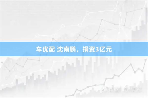 车优配 沈南鹏，捐资3亿元