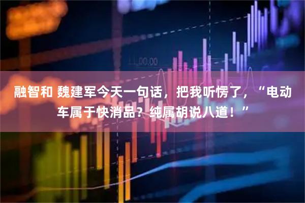 融智和 魏建军今天一句话，把我听愣了，“电动车属于快消品？纯属胡说八道！”